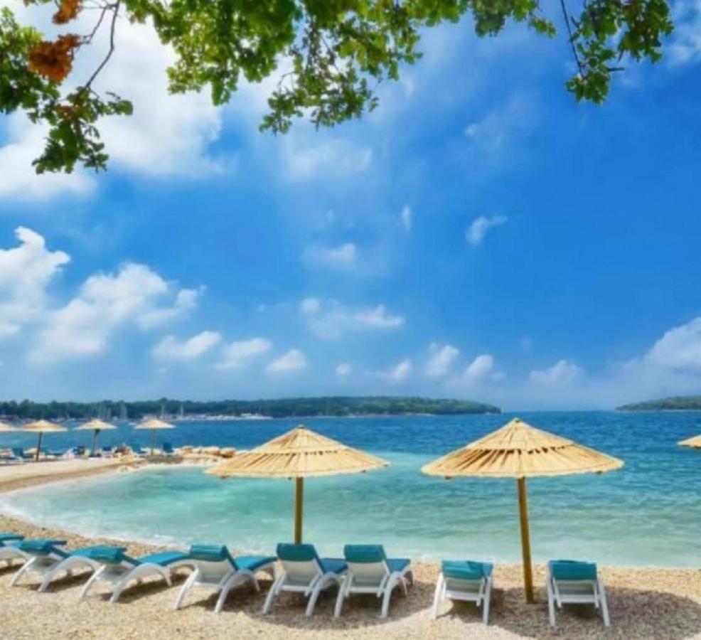New!!! 2024 Marea Apartments With Xxl Sunny Terrace Poreč Exterior foto